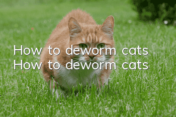 How to deworm cats? How to deworm cats?