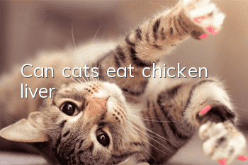 Can cats eat chicken liver?