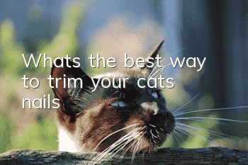 What’s the best way to trim your cat’s nails?
