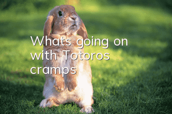 What's going on with Totoro's cramps?