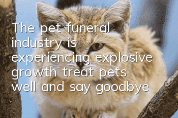 The pet funeral industry is experiencing explosive growth: treat pets well and say goodbye with dignity!