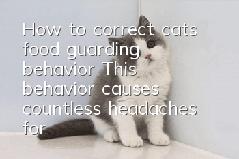 How to correct cats’ food guarding behavior? This behavior causes countless headaches for cat owners!