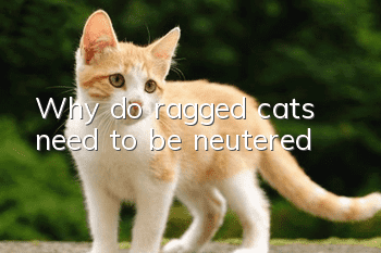 Why do ragged cats need to be neutered?