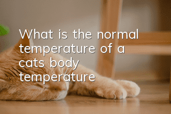 What is the normal temperature of a cat’s body temperature?