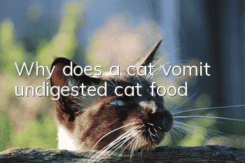 Why does a cat vomit undigested cat food?
