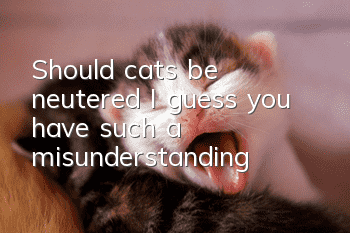 Should cats be neutered? I guess you have such a misunderstanding!