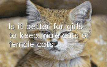 Is it better for girls to keep male cats or female cats?