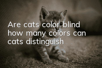 Are cats color blind (how many colors can cats distinguish)