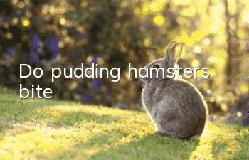 Do pudding hamsters bite?
