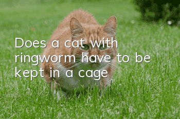 Does a cat with ringworm have to be kept in a cage?