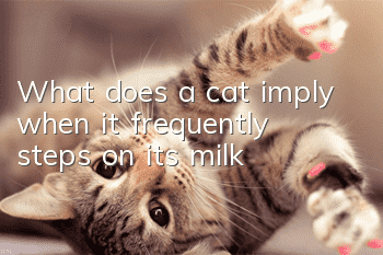 What does a cat imply when it frequently steps on its milk?