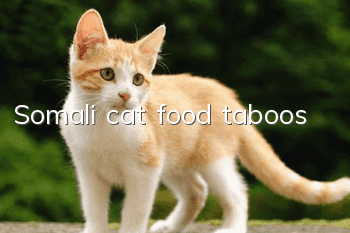 Somali cat food taboos