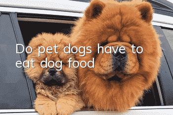 Do pet dogs have to eat dog food?