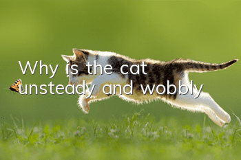Why is the cat unsteady and wobbly?