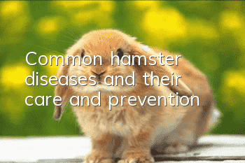 Common hamster diseases and their care and prevention