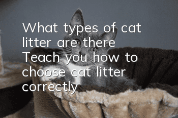 What types of cat litter are there? Teach you how to choose cat litter correctly!