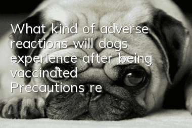 What kind of adverse reactions will dogs experience after being vaccinated? Precautions related to dog vaccination!