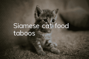 Siamese cat food taboos