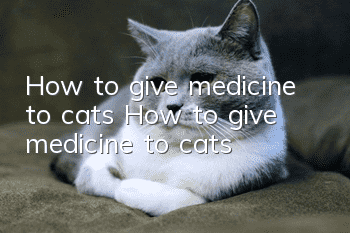 How to give medicine to cats? How to give medicine to cats!