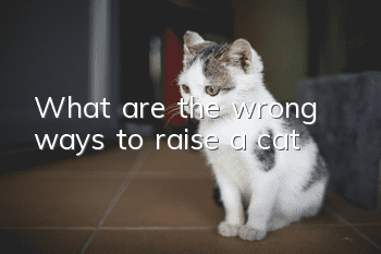 What are the wrong ways to raise a cat?