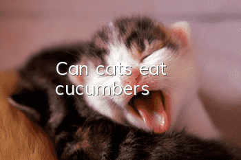 Can cats eat cucumbers?
