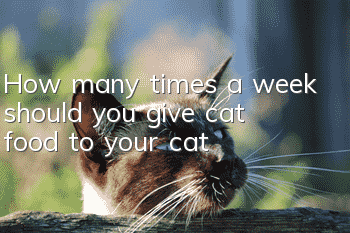 How many times a week should you give cat food to your cat?