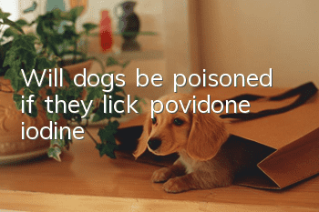 Will dogs be poisoned if they lick povidone iodine?