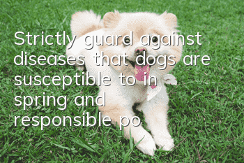 Strictly guard against diseases that dogs are susceptible to in spring, and responsible poop scoopers must not miss it!