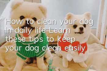 How to clean your dog in daily life? Learn these tips to keep your dog clean easily!