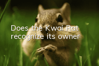 Does the Kwai Rat recognize its owner?