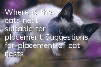 Where is the cat's nest suitable for placement? Suggestions for placement of cat nests!