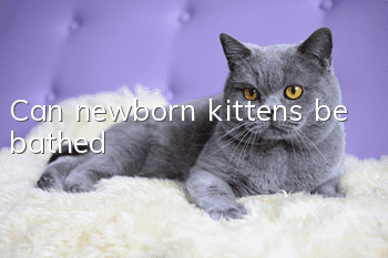 Can newborn kittens be bathed?