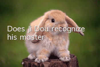 Does Ji Dou recognize his master?