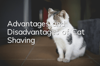Advantages and Disadvantages of Cat Shaving