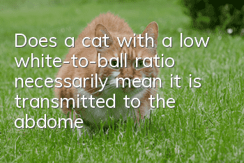 Does a cat with a low white-to-ball ratio necessarily mean it is transmitted to the abdomen?