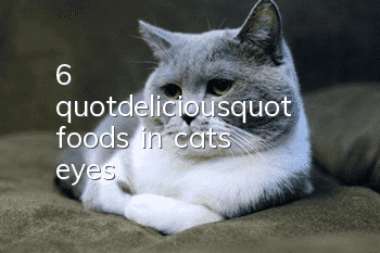 6 "delicious" foods in cats' eyes