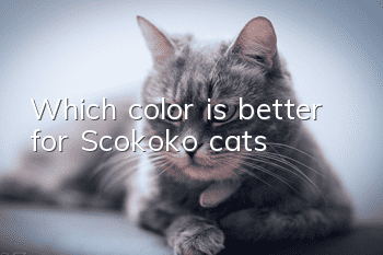 Which color is better for Scokoko cats?