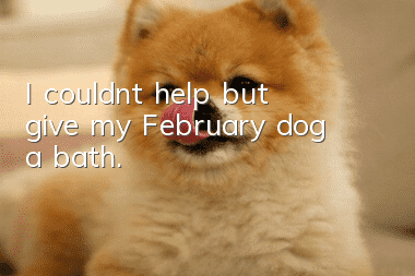 I couldn’t help but give my February dog a bath.
