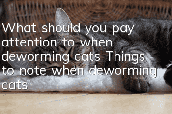 What should you pay attention to when deworming cats? Things to note when deworming cats!