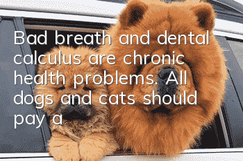 Bad breath and dental calculus are chronic health problems. All dogs and cats should pay attention!