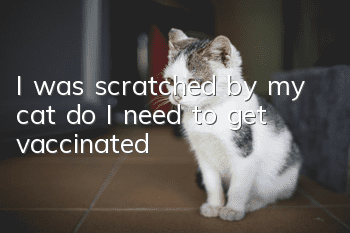 I was scratched by my cat, do I need to get vaccinated?