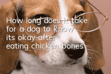 How long does it take for a dog to know it's okay after eating chicken bones?