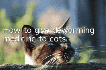 How to give deworming medicine to cats