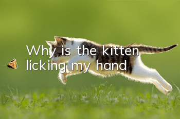 Why is the kitten licking my hand?
