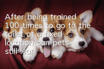 After being trained 100 times to go to the toilet at a fixed location, can pets still learn it?