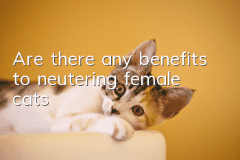 Are there any benefits to neutering female cats?