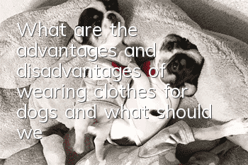 What are the advantages and disadvantages of wearing clothes for dogs, and what should we pay attention to?