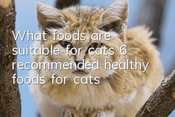 What foods are suitable for cats? 6 recommended healthy foods for cats