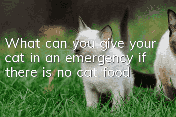 What can you give your cat in an emergency if there is no cat food?