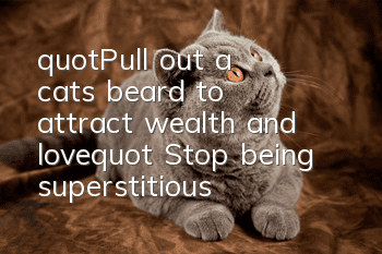 "Pull out a cat's beard to attract wealth and love?" Stop being superstitious! !